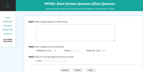 (植物生物技术pbj)PBJ | 四川农业大学卢艳丽教授团队开发预测植物蛋白质点突变功能效应的机器学习工具PPVED